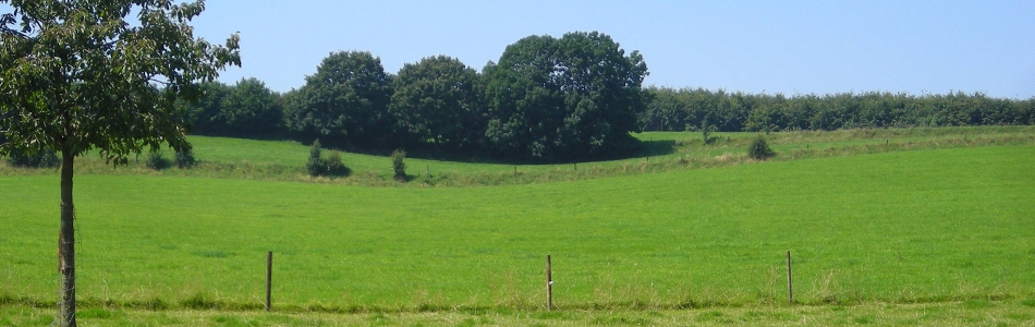 Gastenhuis Gite de Brabant Voerstreek Vakantie