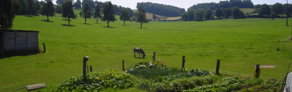 Gastenhuis Gite de Brabant Voerstreek Vakantie